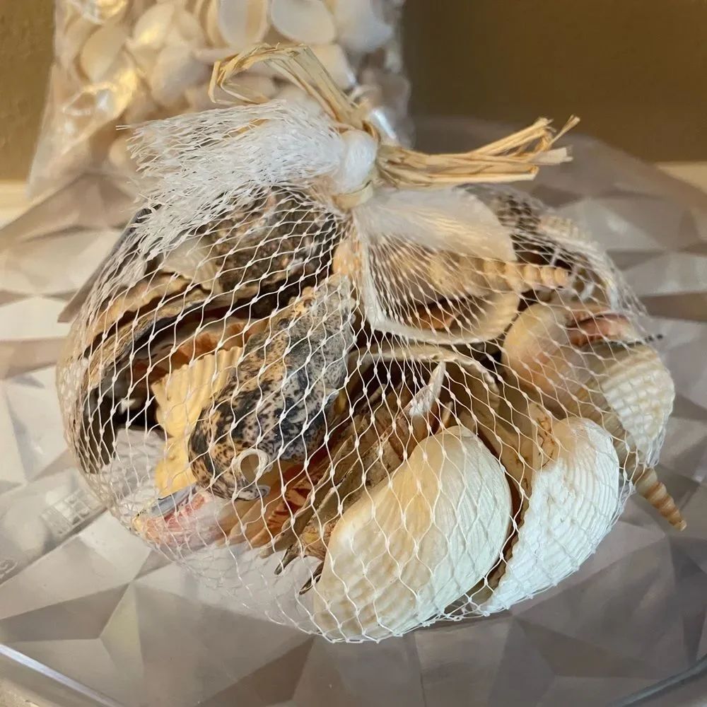 Seashell Lot - Picture 10 of 13